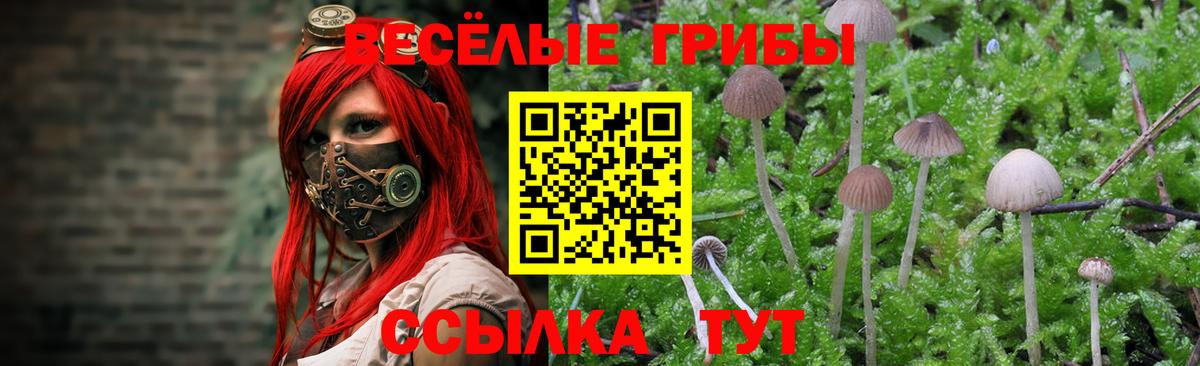 Псилоцибиновые грибы мухоморы  Вход с VPN  Галлюциногенные грибы Cubensis  Кировск 