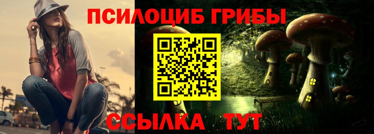 Галлюциногенные грибы прущие грибы Кировск